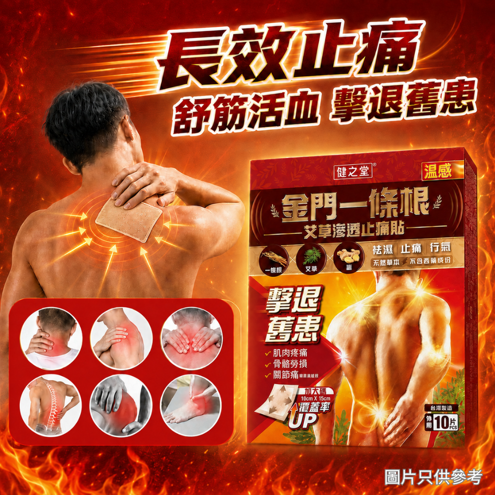 健之堂 艾草滲透止痛貼 (溫感)12盒裝