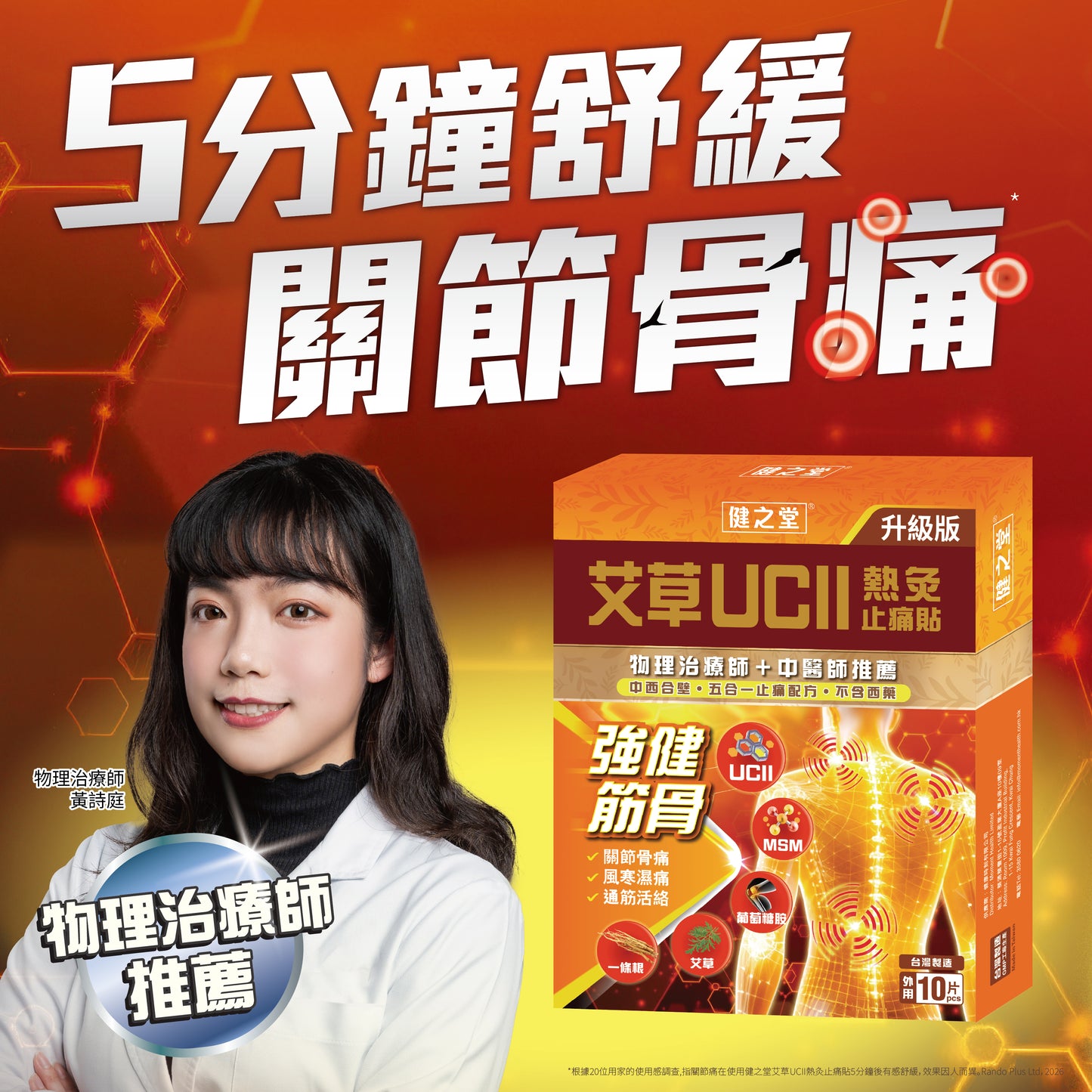健之堂艾草UCII熱灸止痛貼 10片