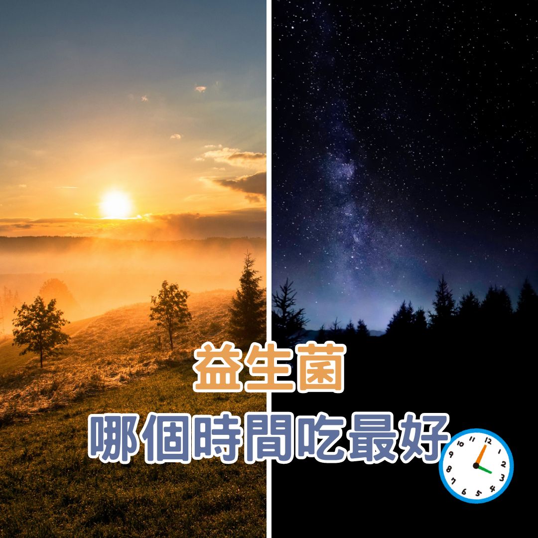 益生菌早上吃還是晚上吃比較好？兩個時段的優勢介紹