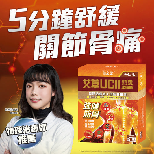 健之堂艾草UCII熱灸止痛貼 10片